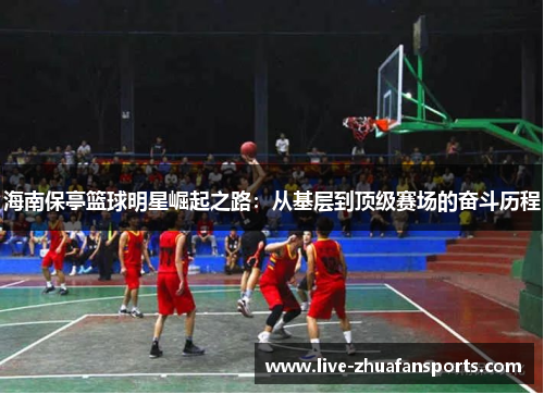 海南保亭篮球明星崛起之路：从基层到顶级赛场的奋斗历程