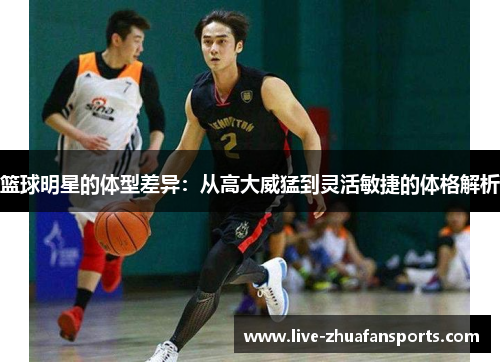 篮球明星的体型差异：从高大威猛到灵活敏捷的体格解析