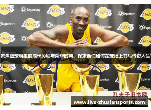 聚焦篮球明星的成长历程与荣耀时刻，探索他们如何在球场上书写传奇人生