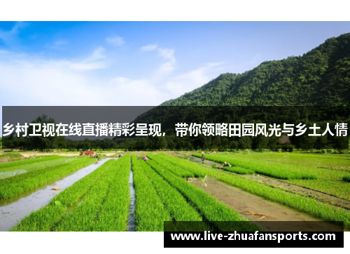 乡村卫视在线直播精彩呈现，带你领略田园风光与乡土人情