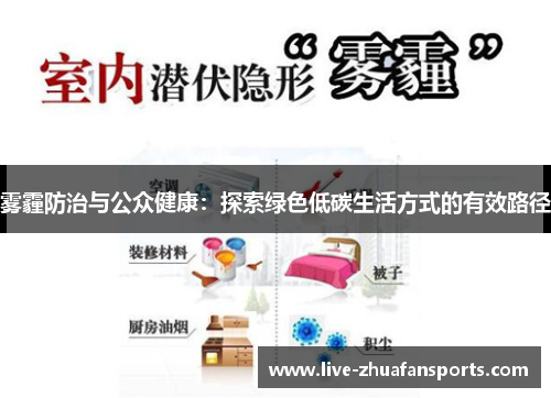 雾霾防治与公众健康：探索绿色低碳生活方式的有效路径
